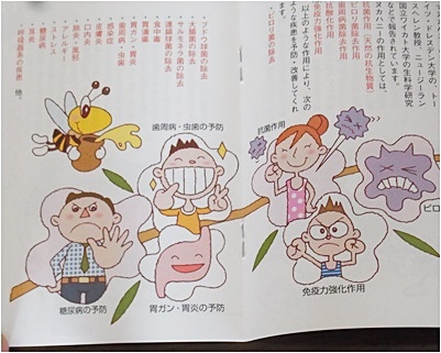 page効果