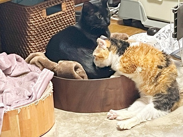 クロムと
