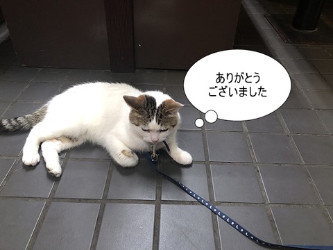 ご挨拶