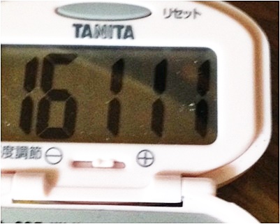 page万歩計