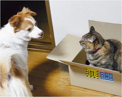 pageお二人