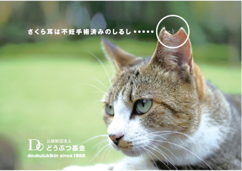 article-image02