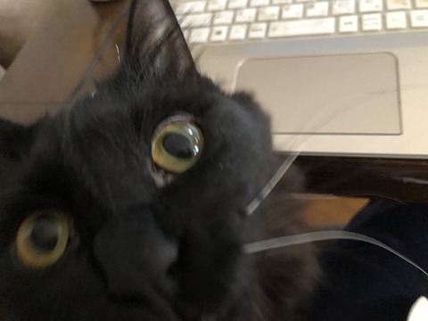 ミク