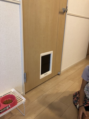 ドア