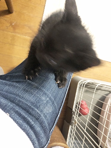 登る