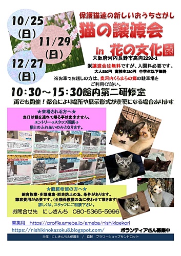 ポスター