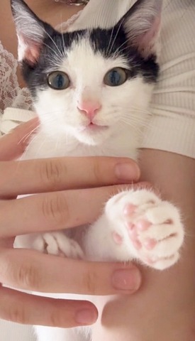 てん