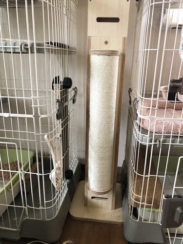 爪とぎ