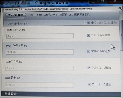 page画像3
