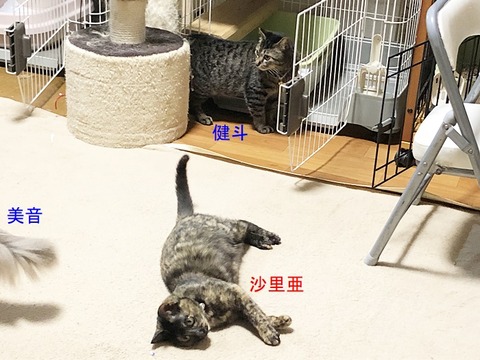リビング