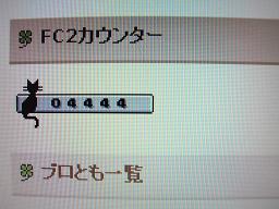 RIMG0407カウンター