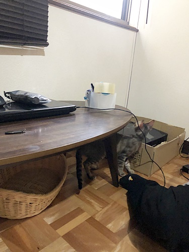 葉平