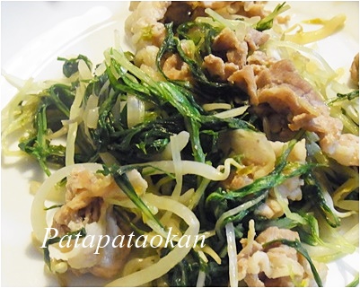page水菜