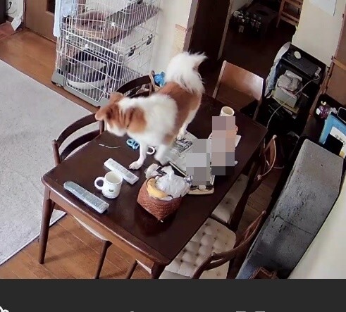 犯行現場1