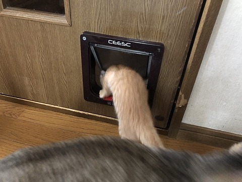 和楽2