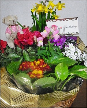 pageお花2