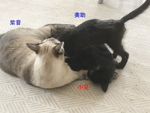 3人