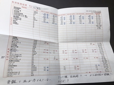 検査結果