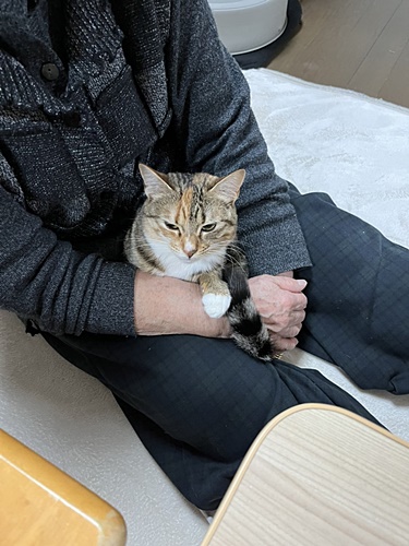はなちゃん