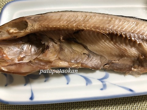ホッケ