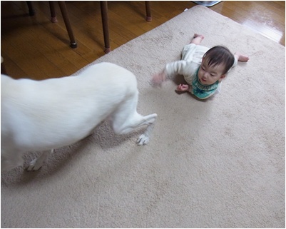 pageyukiとnanaちゃん