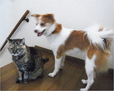 pageお二人