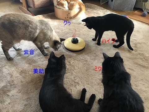 遊ぶ