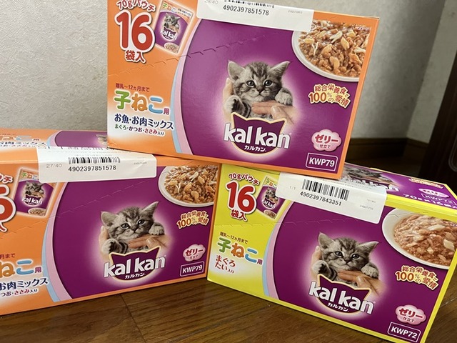 タフィーさん