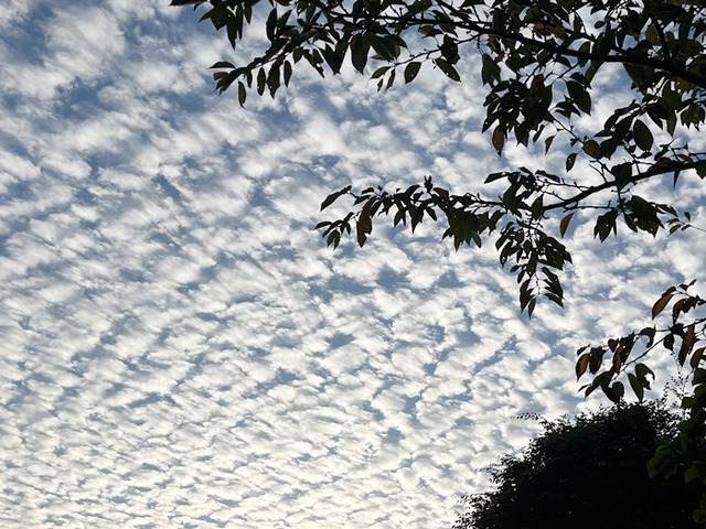 雲
