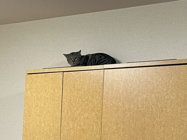 カナル