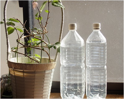 page水
