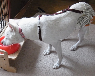 pageyuki_201405311532464f0.jpg