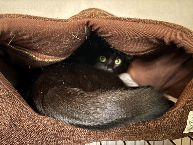 クロム