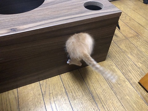 こっちg2