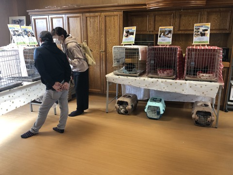 譲渡会