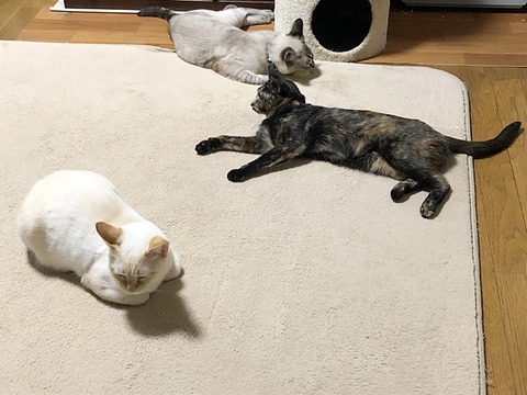 まったり~