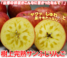リンゴ