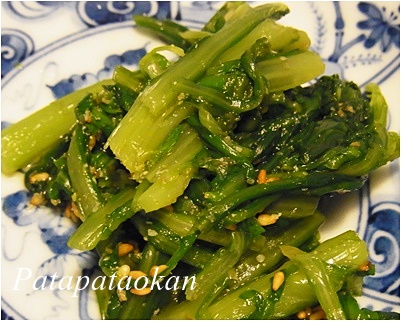 page春菊