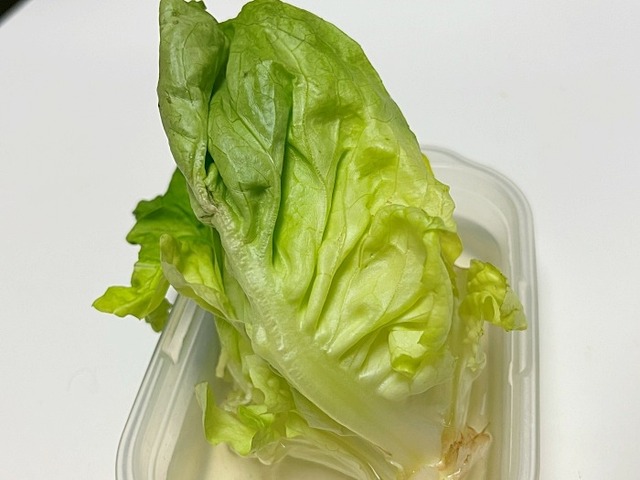 再生