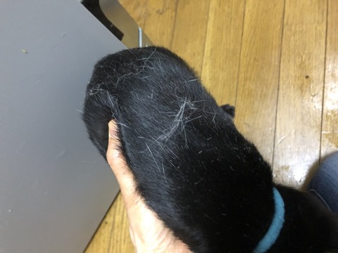 ウミ
