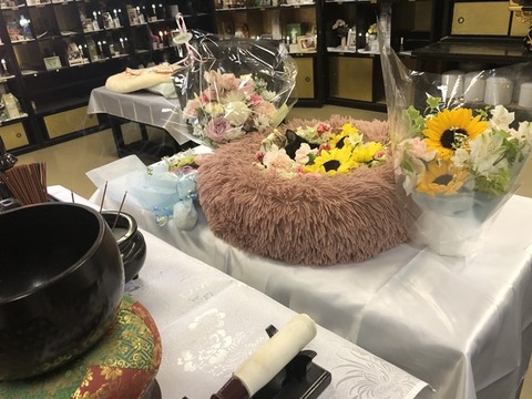 霊園