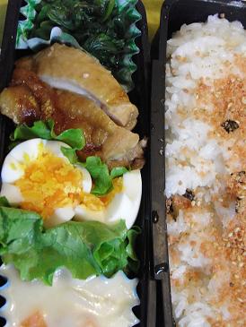 ROT02046お弁当