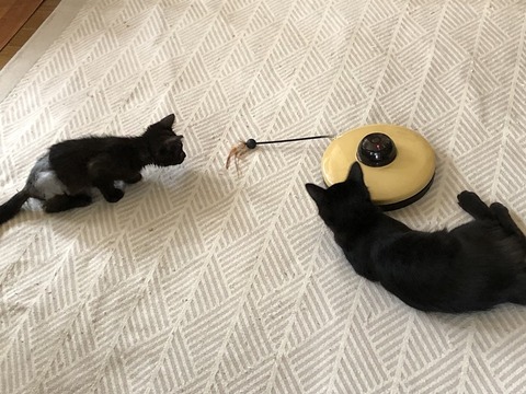 仲良し