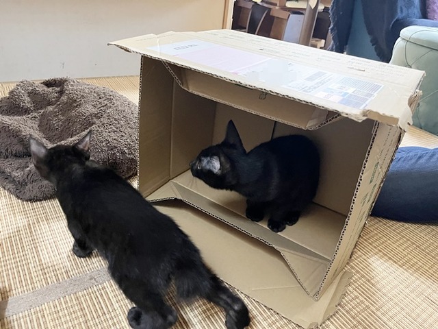 お二人さん