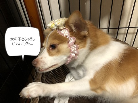 クゥ