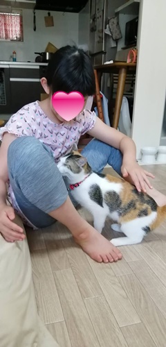 ミケコちゃん