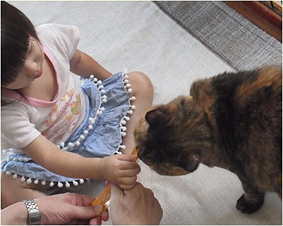 pagenanaちゃん