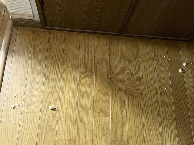 犯行現場