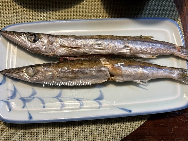 カマス