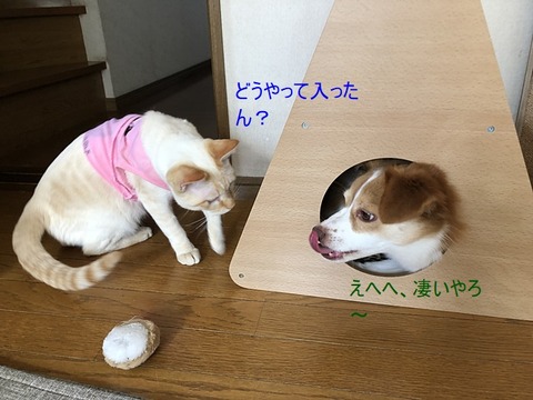 ロア２